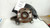 2009-2017 Chevy Traverse Driver Left Front Spindle Knuckle OEM used OEM steering knuckle