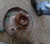 2007-2015 Toyota Tundra Passenger Right Front Spindle Knuckle OEM used OEM steering knuckle