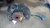 2011-2012 Audi A4 Driver Left Front Spindle Knuckle OEM used OEM steering knuckle