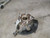 2014-2018 Mazda 3 Passenger Right Front Spindle Knuckle OEM used OEM steering knuckle