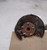 2008-2012 Honda Accord Passenger Right Front Spindle Knuckle OEM used OEM steering knuckle