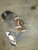 2011-2020 Mitsubishi RVR Passenger Right Front Spindle Knuckle OEM used OEM steering knuckle