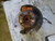 2008-2020 Dodge Caravan Driver Left Front Spindle Knuckle OEM used OEM steering knuckle