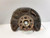 2008-2015 Mercedes C-Class Driver Left Front Spindle Knuckle OEM used OEM steering knuckle