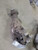 2005-2011 Mercury Mariner Transfer Case Assembly OEM used OEM transfer case