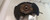 2013-2015 Acura ILX Passenger Right Front Spindle Knuckle OEM used OEM steering knuckle