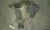 2002-2005 Land Rover Freelander Transfer Case Assembly OEM used OEM transfer case