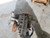 2012-2014 Ford F150 Transfer Case Assembly OEM used OEM transfer case