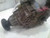 2016-2018 Kia Sorento Transfer Case Assembly OEM used OEM transfer case