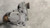 2013-2015 Jaguar XF Transfer Case Assembly OEM used OEM transfer case