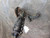 2016-2022 Honda HR-V Passenger Right Knee Suspension OEM used OEM steering knuckle