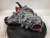 2019-2024 Acura RDX Transfer Case Assembly OEM used OEM transfer case