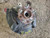 2021-2023 Kia Sorento Passenger Right Front Spindle Knuckle OEM used OEM steering knuckle