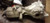 2011 2012 2013 Kia SORENTO AWD REAR DIFFERENTIAL CARRIER ASSEMBLY OEM 11 12 13 Used used OEM rear differential carrier