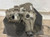 2015-2016 GMC Sierra 3500 Transfer Case Assembly OEM used OEM transfer case