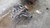 2003-2006 Chevy Truck Silverado 2500 Transfer Case Assembly OEM used OEM transfer case