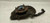 2003-2015 Toyota 4Runner Left Driver Front Spindle Knuckle OEM used OEM steering knuckle
