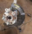 2021 2022 KIA K5 FWD REAR LEFT SPINDLE KNUCKLE WHEEL HUB OEM 52700L3050 used OEM steering knuckle