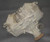 2006-2014 Honda Ridgeline Rear Axle Differential Carrier OEM Assembly Used used OEM differential carrier
