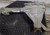 2002-2010 Ford Explorer 3.55 Ratio Front Axle Differential Carrier Assembly OEM Used used OEM differential carrier