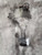 2006 Chevrolet Silverado Front Axle Differential Carrier 3.73 Ratio (OPT GT4) Used OEM differential carrier used OEM differential carrier