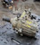 1997-2001 Jeep Cherokee Transfer Case Assembly updated Process 242 Selec-Trac used OEM transfer case