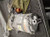 2017-2020 Hyundai Ioniq Air Conditioning A/C AC Compressor Assembly HEV OEM used OEM A/C compressor