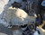 2005-2012 Nissan Pathfinder 4x4 Rear Axle Differential Carrier 3.36 Ratio OEM used OEM differential carrier