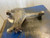 2002-2010 Ford Explorer Front Axle Differential Carrier Assembly 3.73 Ratio OEM Used used OEM differential carrier