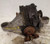 2008-2014 Cadillac CTS Rear Axle Differential Carrier Assembly 3.23 Ratio Used OEM differential carrier used OEM differential carrier