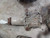 2010-2017 Chevrolet Equinox Rear Axle Differential Carrier Assembly Oem Used used OEM differential carrier