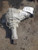 2011-2020 Dodge Durango Front Axle Differential Carrier Assembly 3.45 Ratio Oem Used used OEM differential carrier