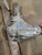 2007-2012 Mercedez GL Class Front Axle Differential Carrier Assembly 164 Type Used OEM differential carrier used OEM differential carrier