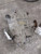 2017-2021 Honda Ridgeline Rear Axle Differential Carrier Assembly 3.5L Oem Used used OEM differential carrier