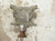 2015-2018 Ford Mustang Rear Differential Carrier Assembly 3.55 Ratio Used OEM used OEM rear differential carrier