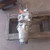 2003-2004 Honda CRV Rear Axle Differential Carrier Assembly 2.4L AWD OEM Used used OEM differential carrier