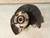 2013-2017 Honda Accord Front Right Side Spindle Knuckle Assembly US Built LH OEM used OEM steering knuckle