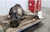 2000-2001 Dodge Durango Front Axle Differential Carrier Assembly 3.55 Ratio OEM Used used OEM differential carrier