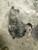 2007-2012 Mazda CX-7 Transfer Case Assembly 2.3L (Turbo) OEM used OEM transfer case