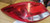 2011-2013 Buick Regal Left Driver Side Tail Light Assembly OEM used OEM tail light