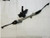 2013-2014 Ford Focus Electric Power Steering Rack and Pinion OEM used OEM rack and pinion assembly