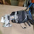 2020-2022 Ford Escape Steering Column Assembly OEM. used OEM steering column