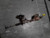 2015-2019 Ford Escape Steering Gear Power Rack And Pinion W/Electric Assist OEM. used OEM rack and pinion assembly