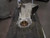 2007-2017 GMC Acadia Rear Axle Differential Carrier Assembly AWD Used OEM differential carrier used OEM differential carrier