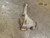 2004-2005 Ford F-150 New Style front Differential Carrier Assembly 3.55 Ratio Used OEM front differential carrier used OEM front differential carrier