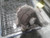 2009 Cadillac CTS Rear Differential Carrier Assembly Base, 3.23 ratio Oem Used used OEM rear differential carrier
