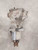 2001-2004 Ford Escape Mazda Tribute Rear Axle Differential Carrier Assembly OEM Used used OEM differential carrier