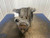 2005-2007 Cadillac CTS Rear Axle Differential Carrier 3.42 Ratio OPT GU6 OEM used OEM differential carrier