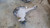 2018-2020 Ford F150 Front Differential Carrier Assembly 3.55 Ratio OEM Used used OEM front differential carrier