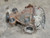 2005-2012 Nissan Pathfinder Rear Axle Differential Carrier 3.36 Ratio OEM Used used OEM differential carrier
